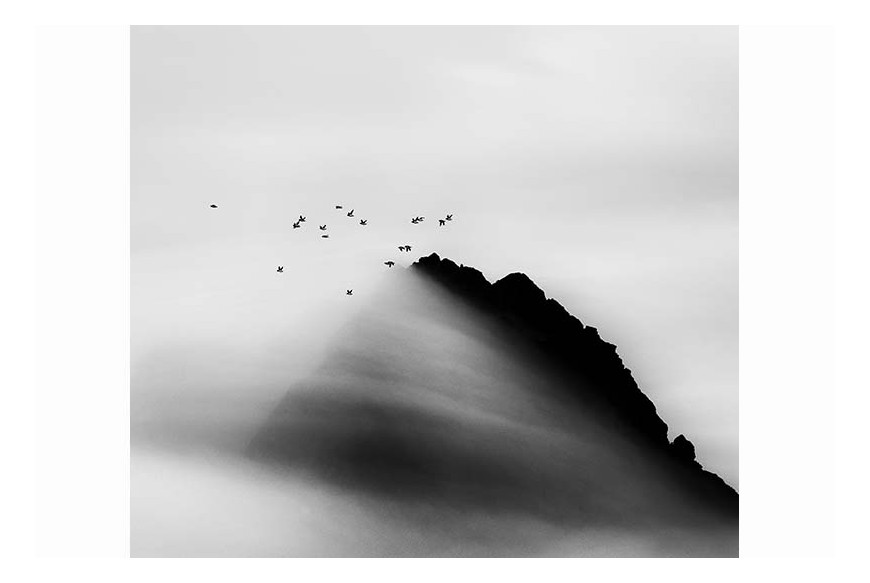 Carsten Egevang© - Thule, Groenlandia, 2014 