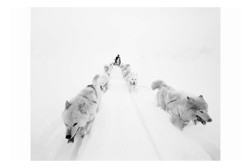Paolo Solari Bozzi© - Sermilik Fjord, Groenlandia 2016 