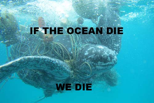 WORLD OCEANS DAY